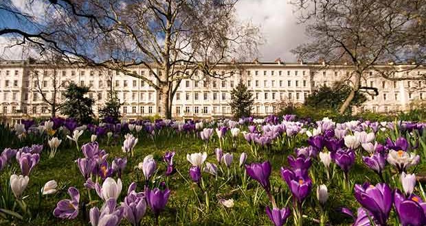 Warwick Square garden