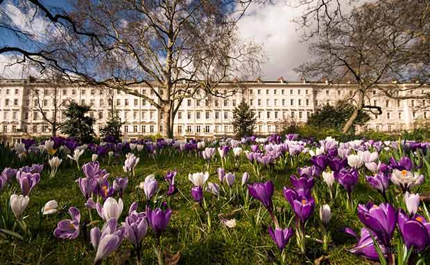 Spring in Warwick Square garden (photo © Ken Sparkes)